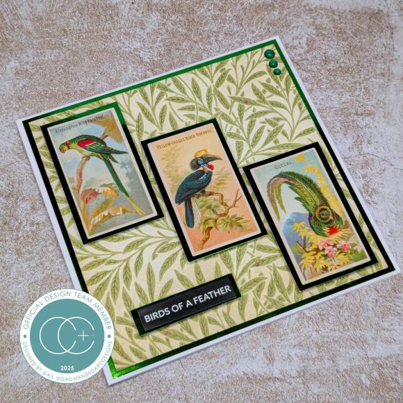 New Craft Consortium The Collector Ephemera 30/Pkg Birds
