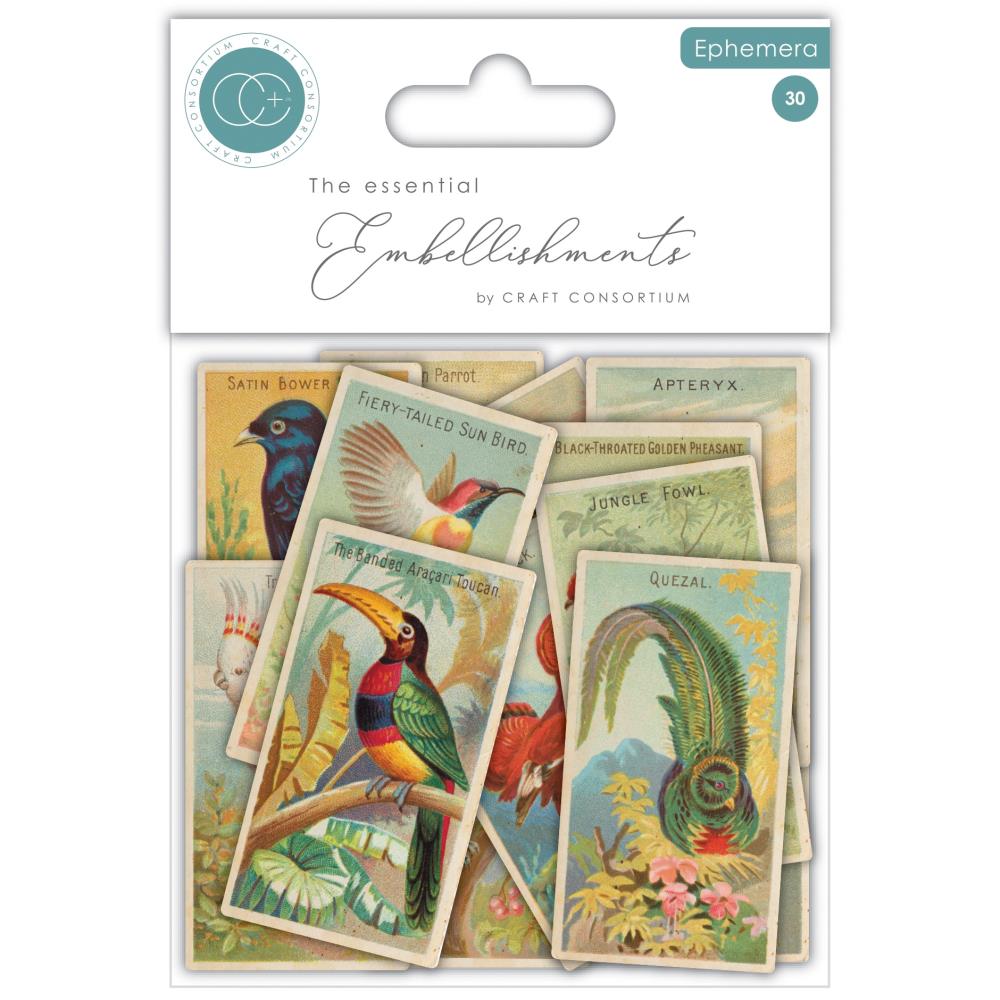 New Craft Consortium The Collector Ephemera 30/Pkg Birds