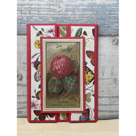 New Craft Consortium The Collector Ephemera 30/Pkg Flowers