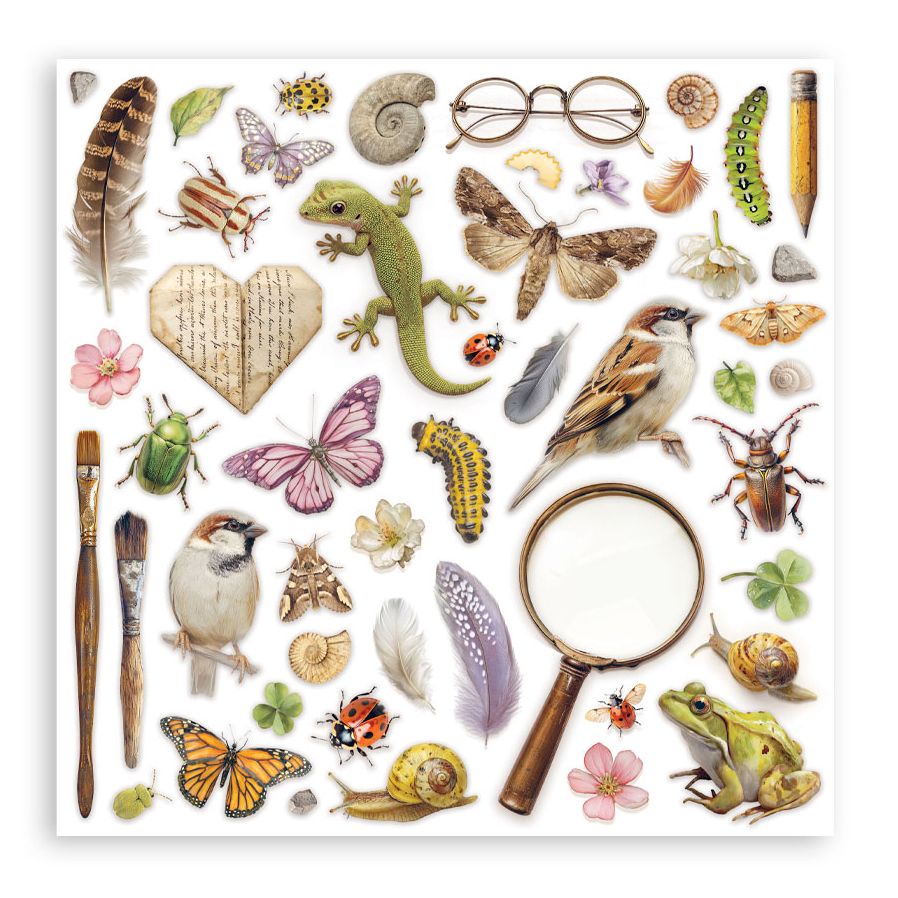 New! Stamperia All Around Scrapbooking Double-Sided Paper Pad 8"X8" 10/Pkg