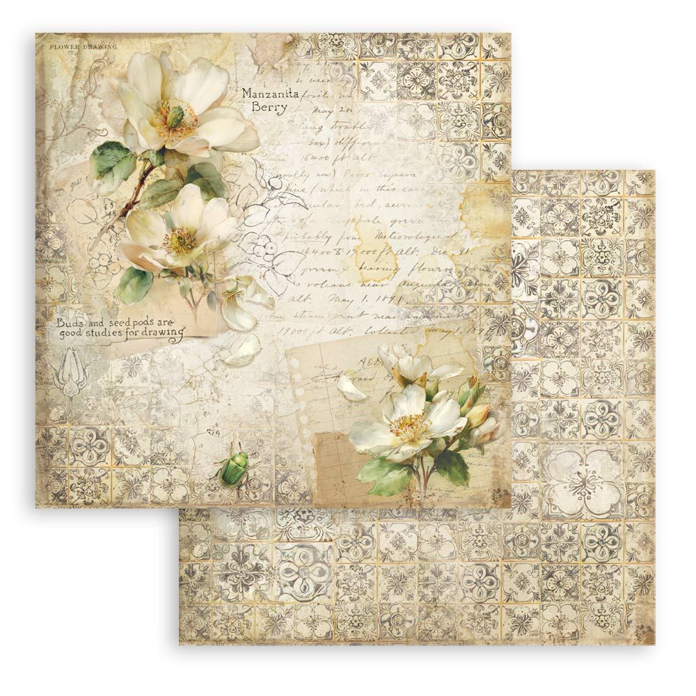New! Stamperia All Around Scrapbooking Double-Sided Paper Pad 8"X8" 10/Pkg