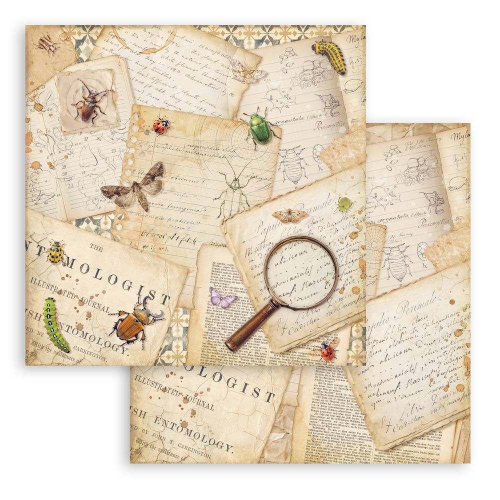 New! Stamperia All Around Scrapbooking Double-Sided Paper Pad 8"X8" 10/Pkg
