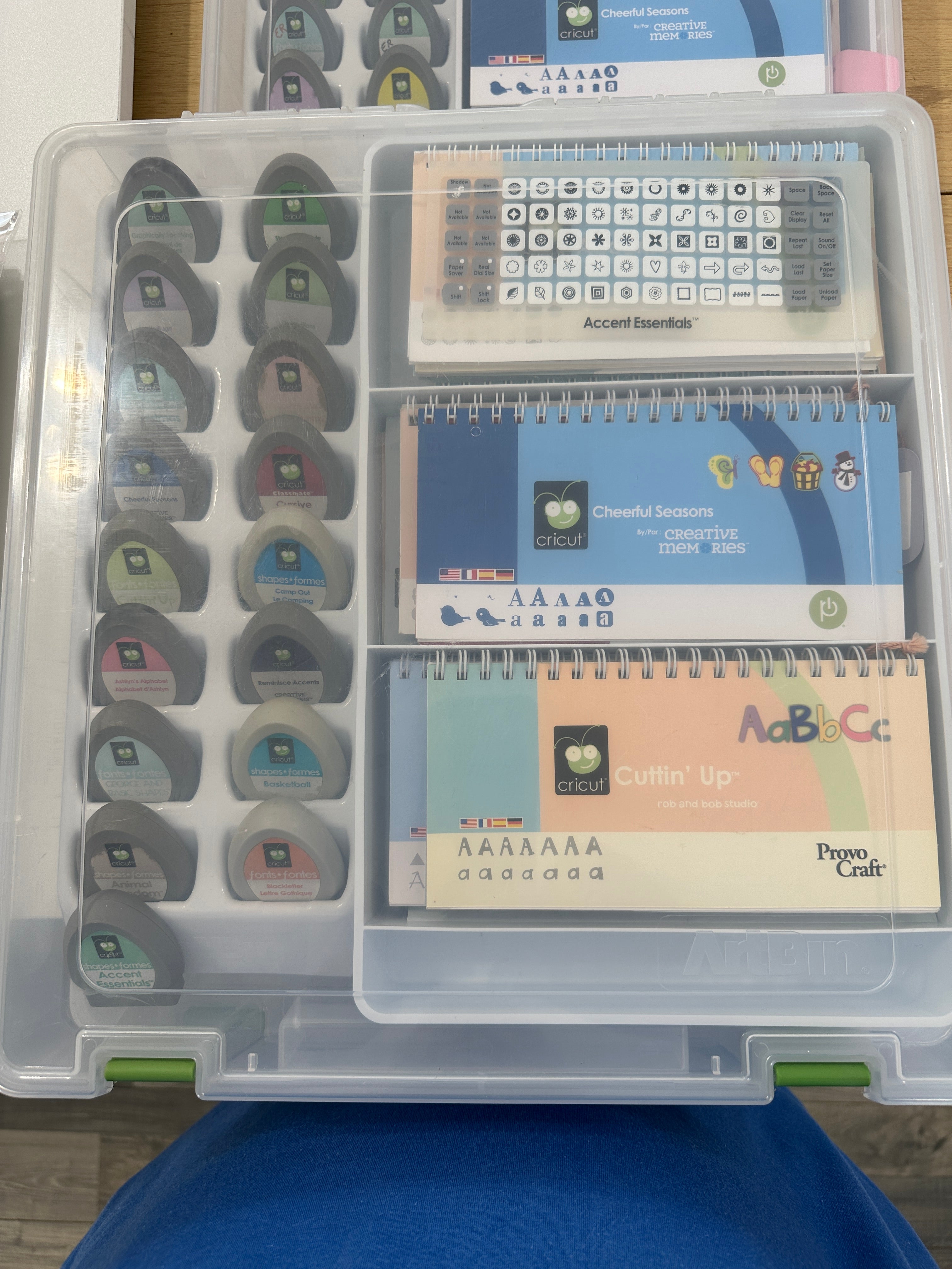 DESTASH CRICUT CARTRIDGES ~ 16 cartridges, books, overlays and storage SET #3