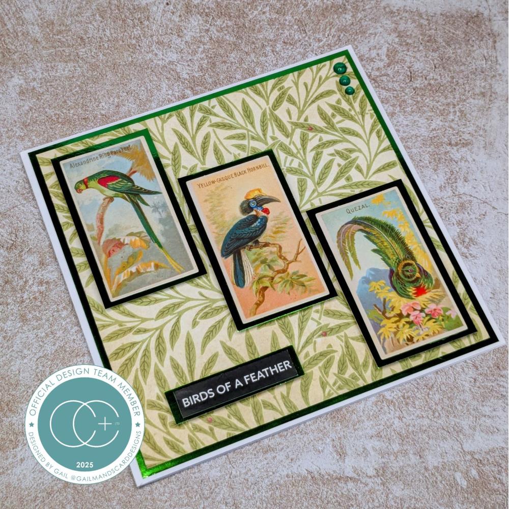 New Craft Consortium Double-Sided Paper Pad 12"X12" 30/Pkg The Collector