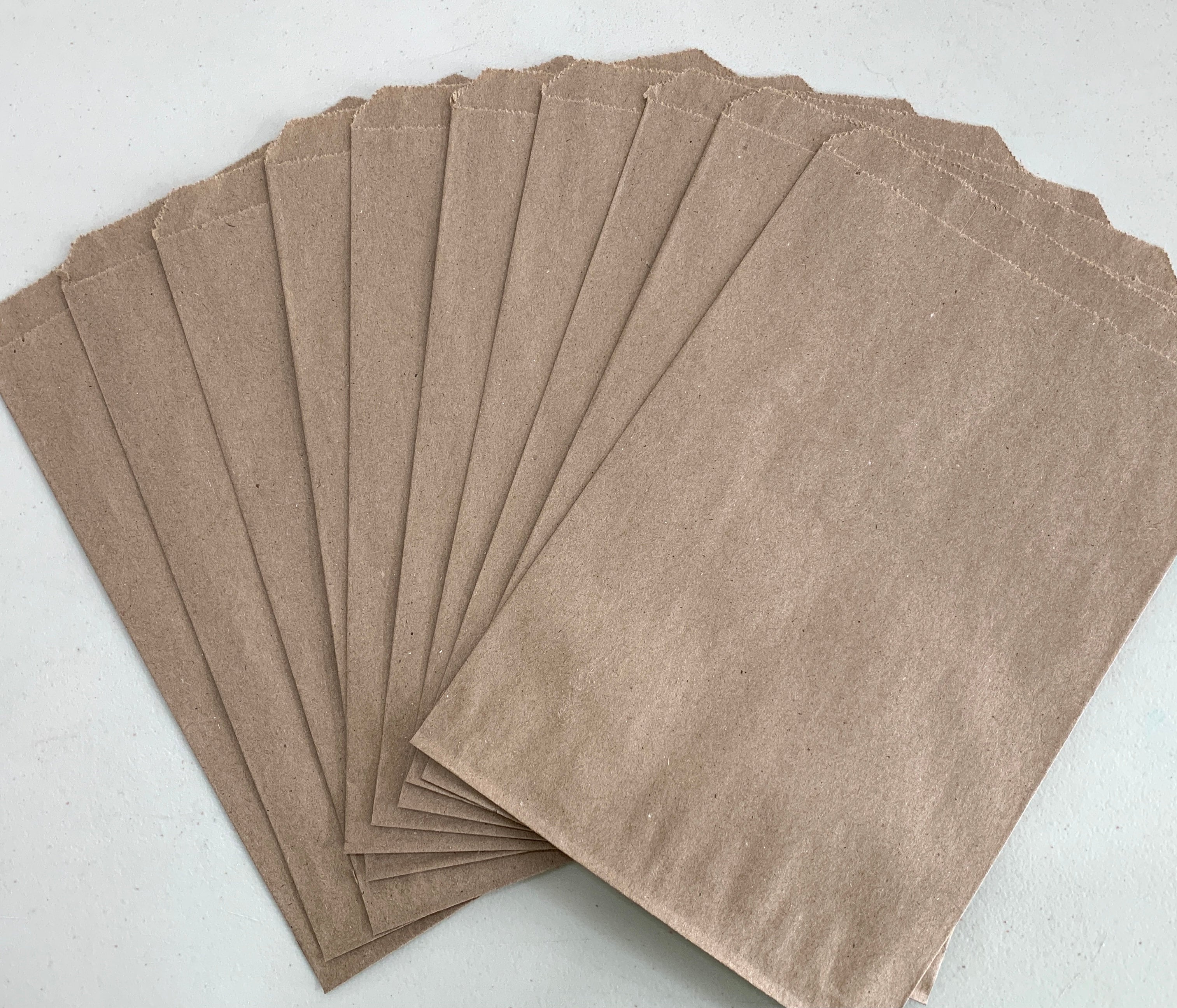 LARGE - GREAT FOR JOURNALS & GIFT WRAP! SET OF 6 ~ #10 9-7/8 X 12-3/8 BROWN PAPER BAG - LARGE