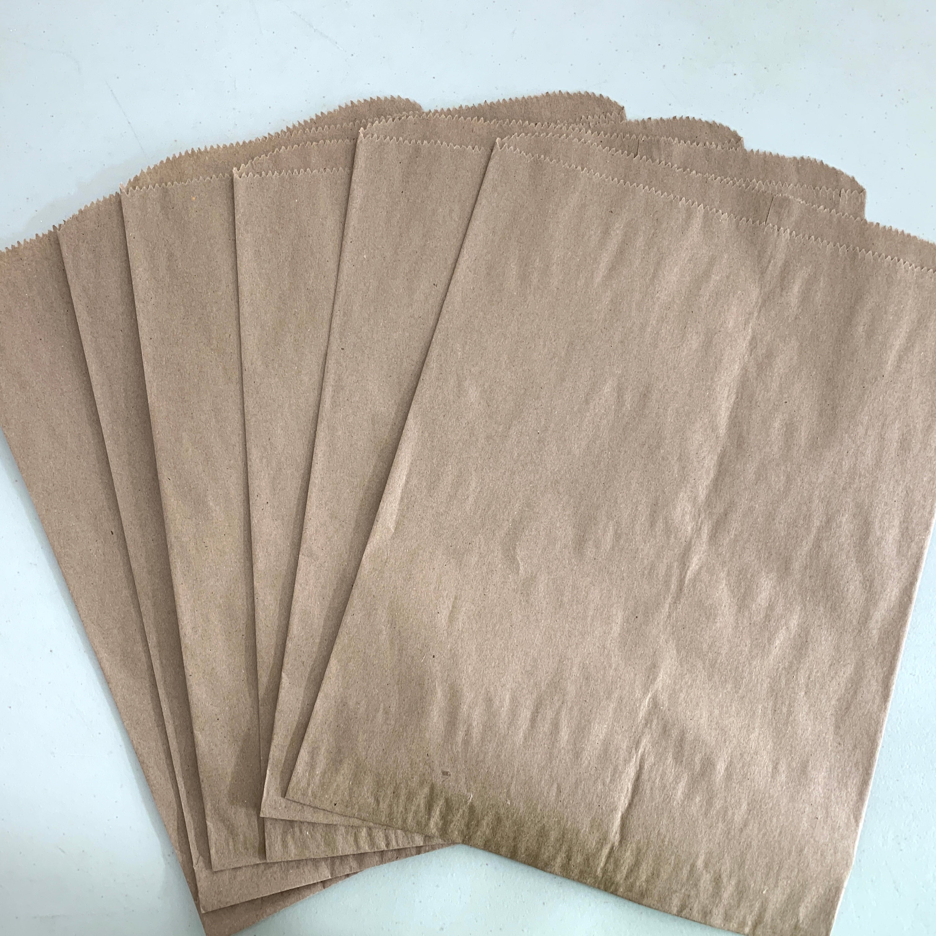 SMALL - GREAT FOR JOURNALS & GIFT WRAP! SET OF 10 ~ #6 6-1/4 X 9 BROWN PAPER BAG - SMALL