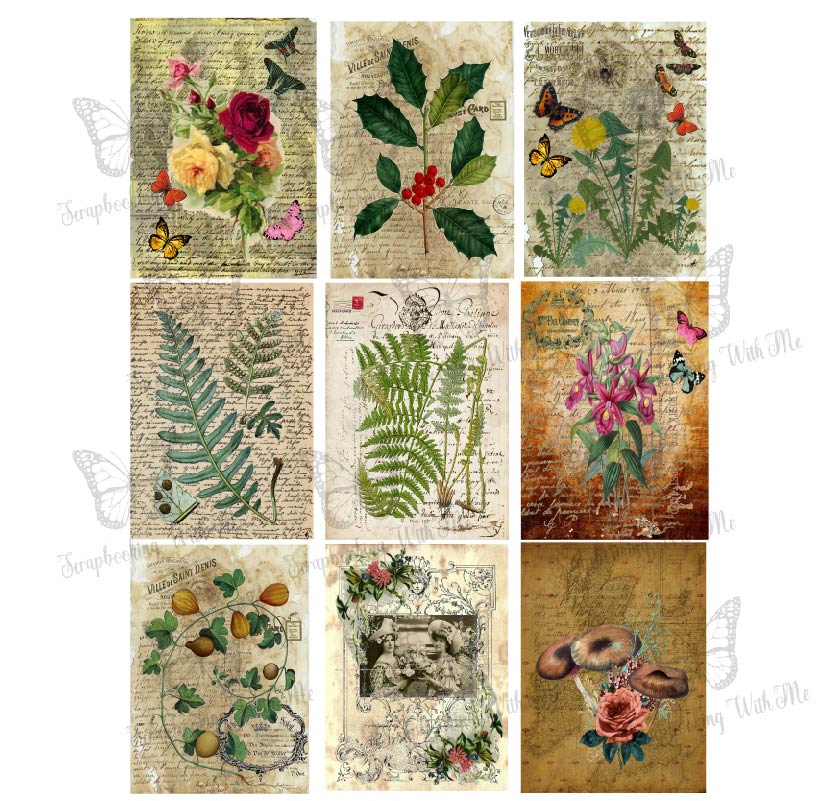 Nature Journaling cards 3 sheets digital download by E