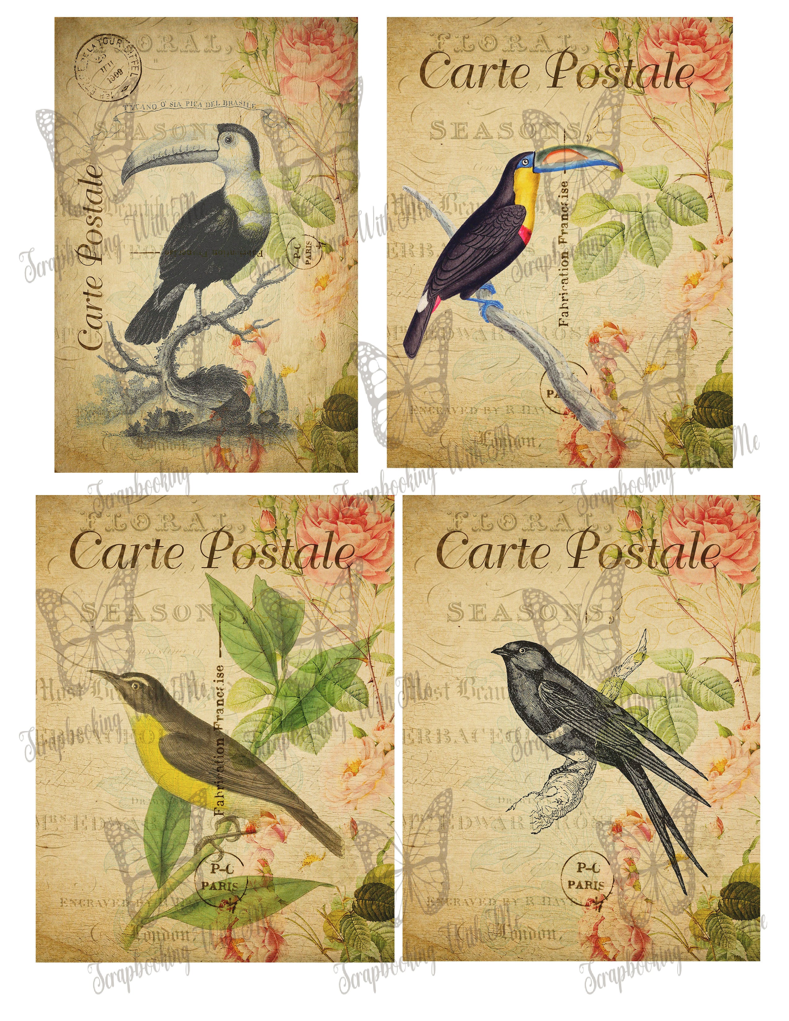 Vintage Birds Postcards Digital ~ 3 sheets