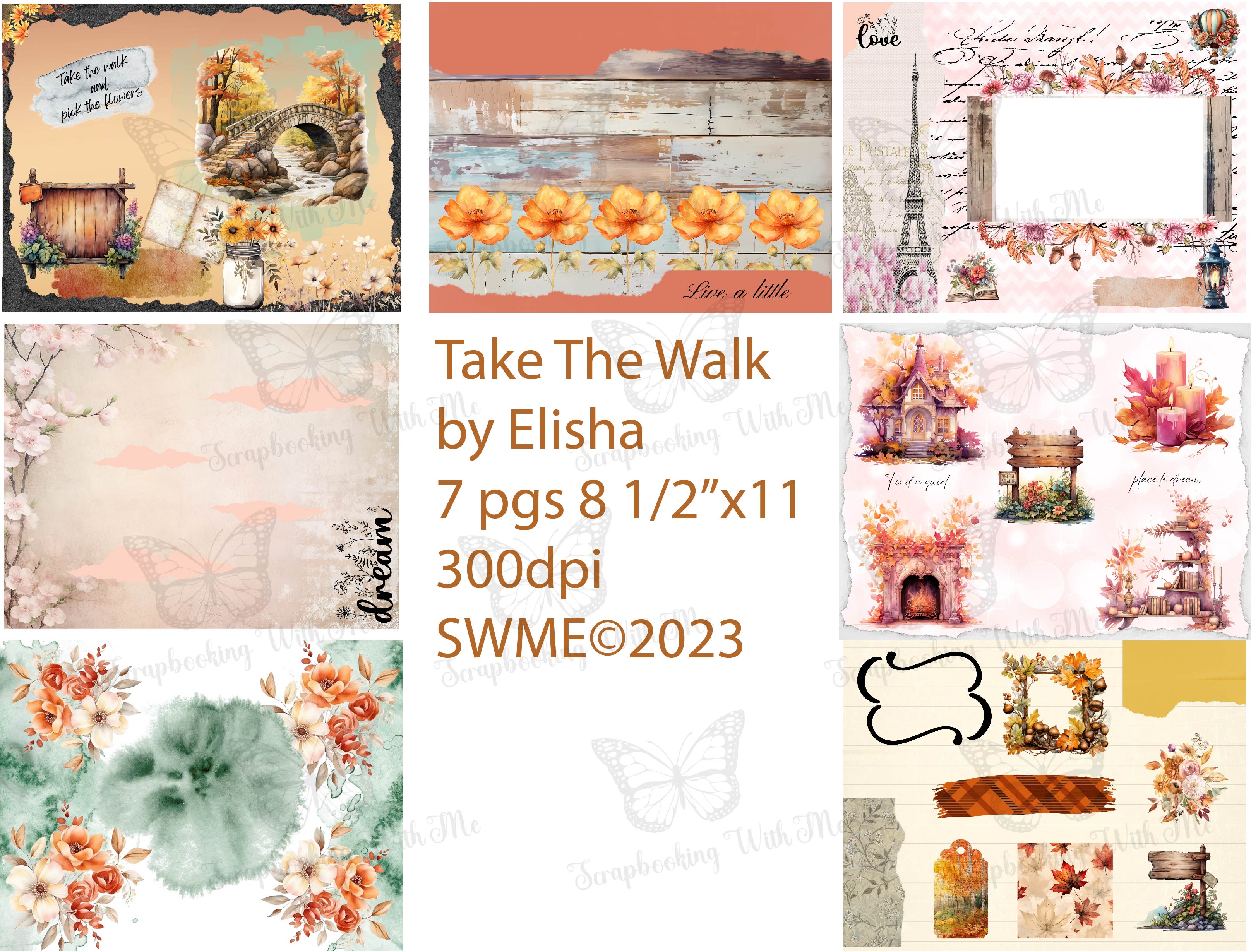 Take the Walk by Elisha 7 digital pgs