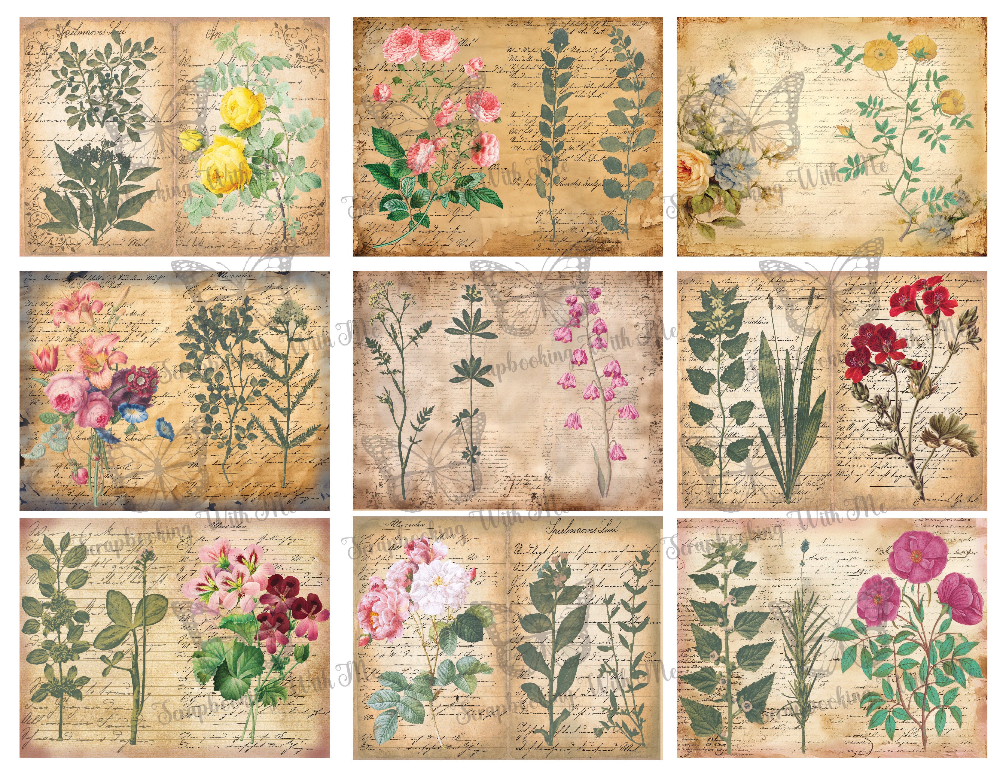 Botanical with Vintage Poem Background Digital by E