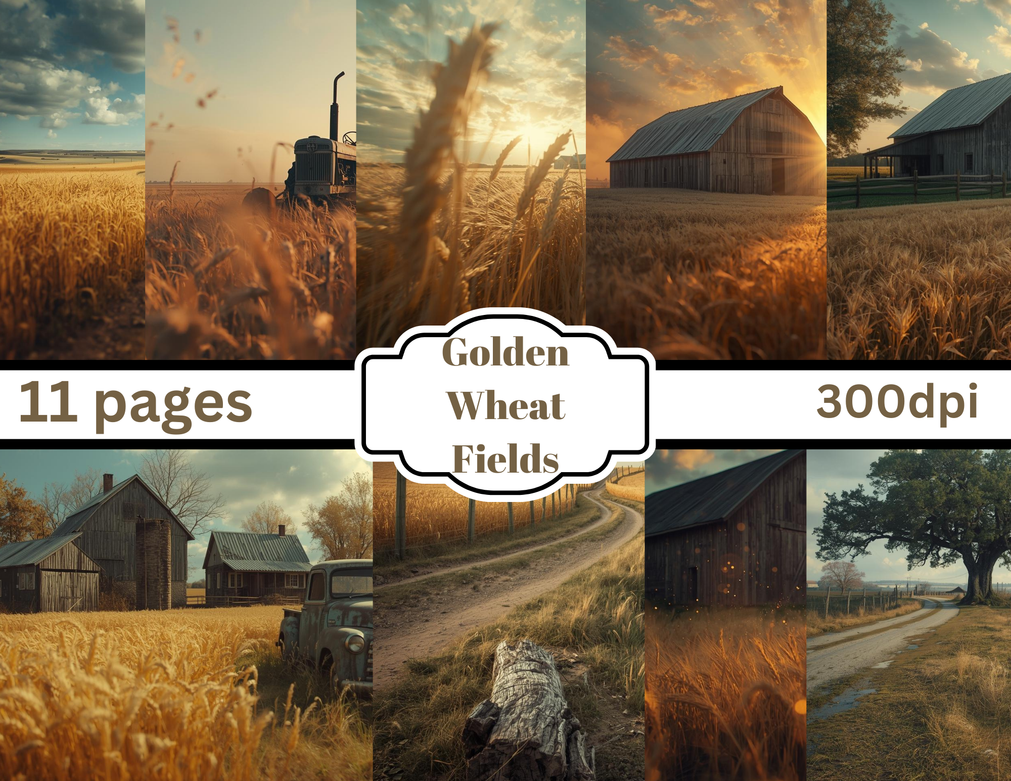 Golden Wheat Fields by Elisha 11 pages digital download **order speparately**